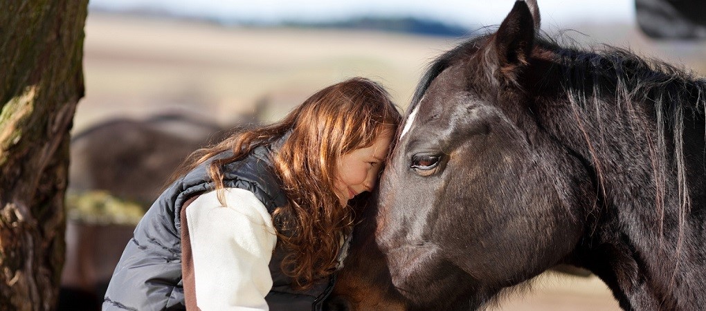 Young girl petting her horse