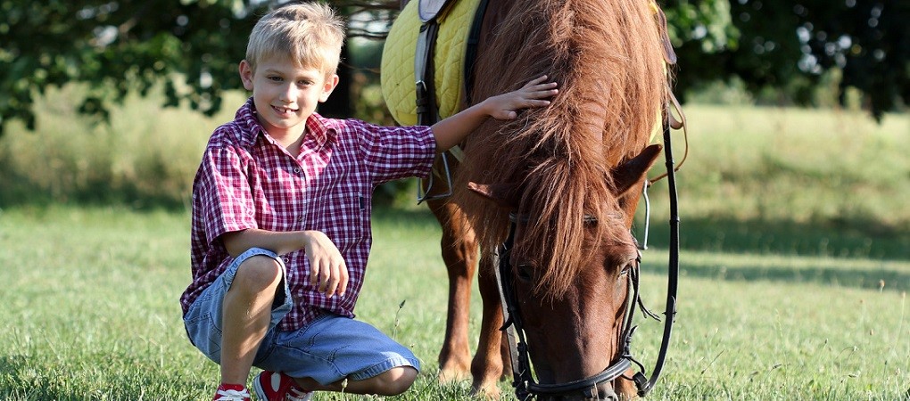 happy boy and pony horse